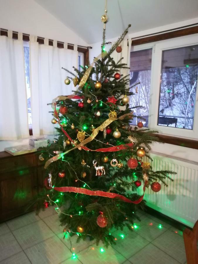 Vila Margareta Curtea De Arges Luaran gambar