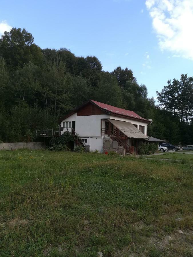Vila Margareta Curtea De Arges Luaran gambar