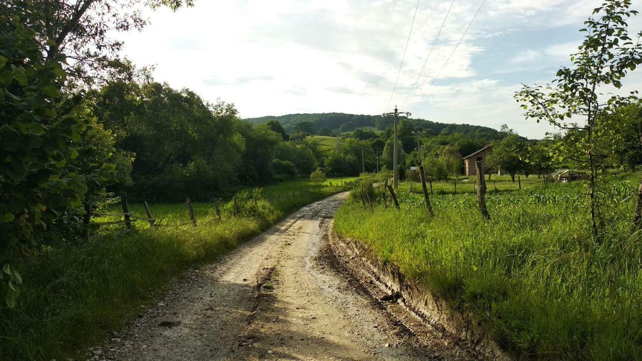 Vila Margareta Curtea De Arges Luaran gambar
