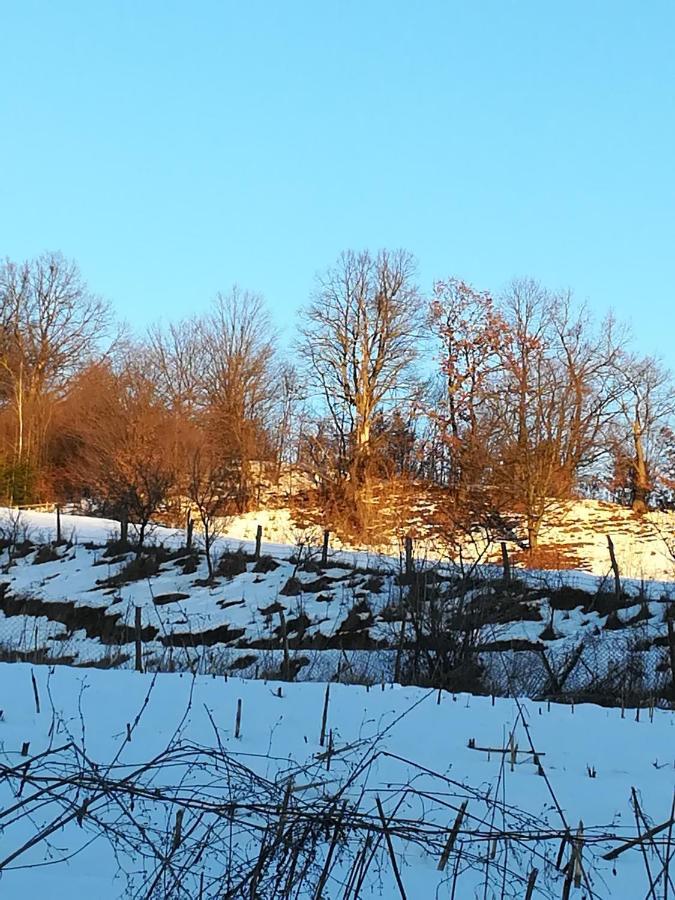 Vila Margareta Curtea De Arges Luaran gambar